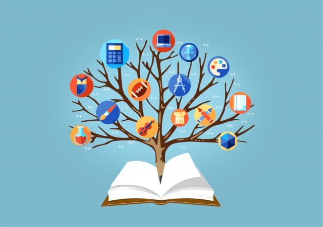 Learning & Development